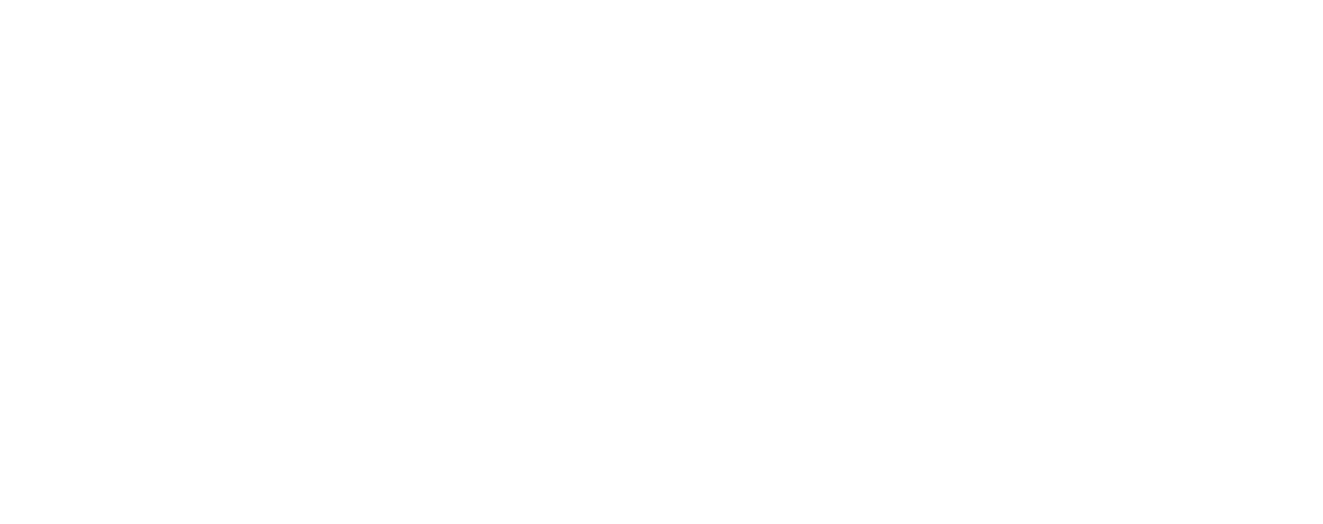 Aktie Now