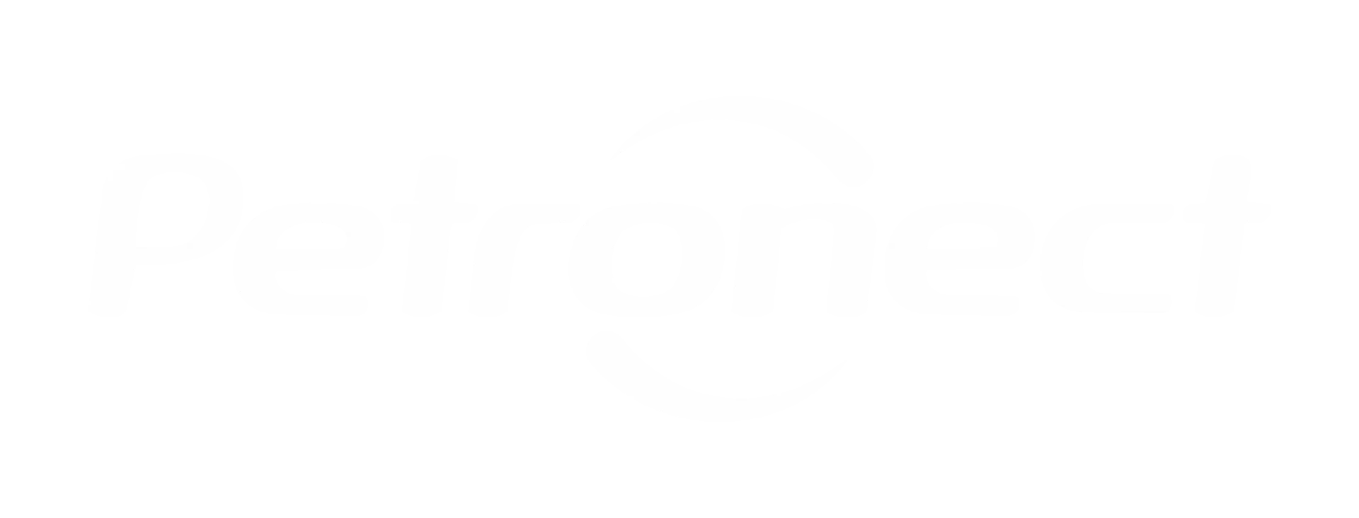 Logo Petronect